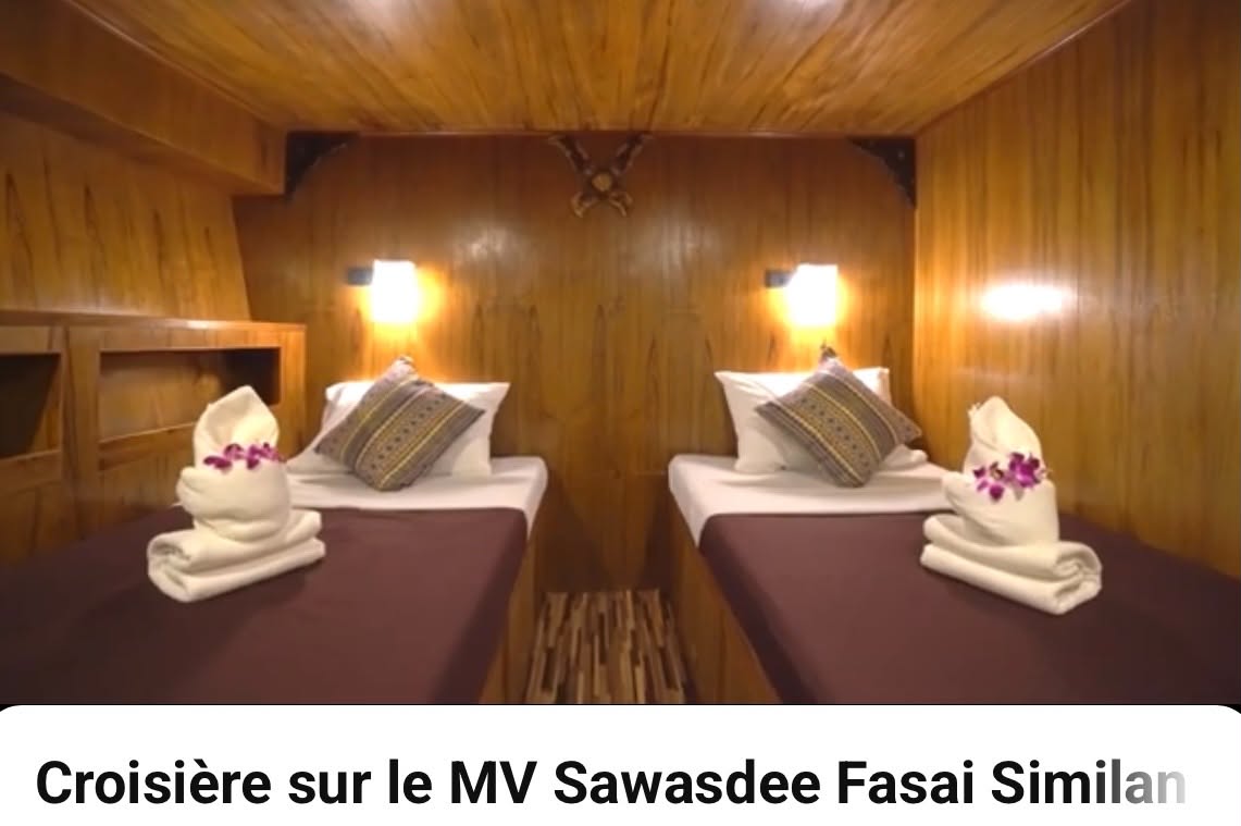 Cabine à lits jumeaux avec serviettes pliées en forme de cygne