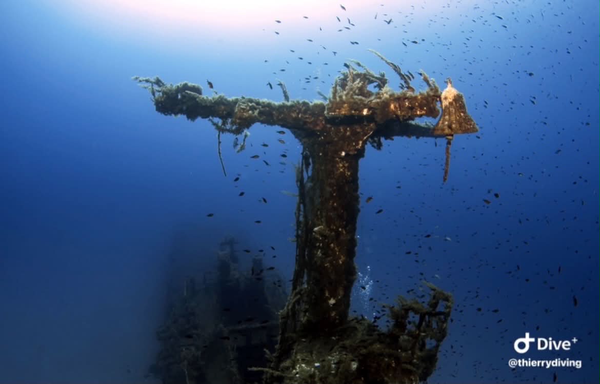 Exploration d'une épave sous-marine majestueuse
